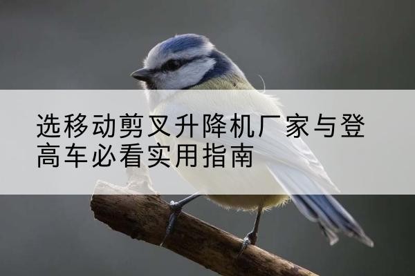 阿尔山电动升降机厂家-选移动剪叉升降机厂家与登高车必看实用指南