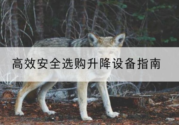 阿尔山升降货梯厂家推荐-*安全选购升降设备指南