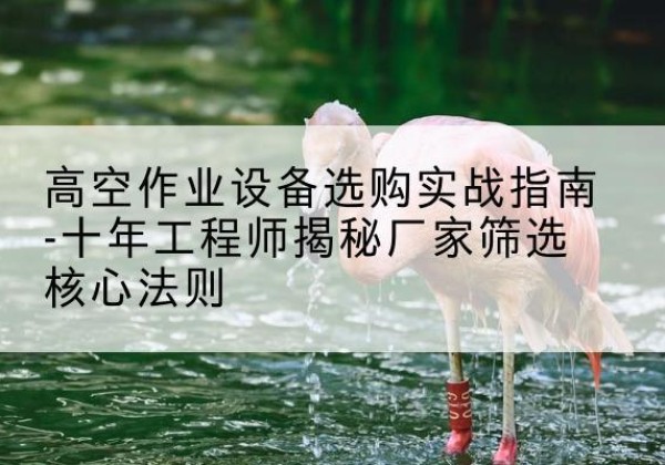 阿尔山剪叉式升降机厂家-高空作业设备选购实战指南-十年工程师揭秘厂家筛选核心法则
